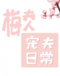 梅夫人宠夫日常 扶华TXT下载
