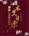 红楼贾琏夫妇求生日常免费阅读