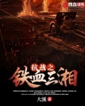 抗战之铁血元帅系统
