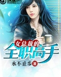 女总裁的全职高手陆风