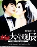 大婚晚辰