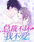 总裁不坏我不爱 小肥肠