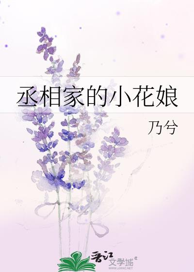 丞相家的小花娘评价