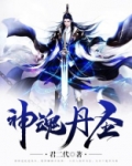 神魂丹圣 君二代