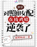 快穿对照比