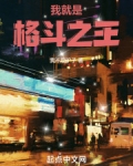 我就是格斗之王免费阅读