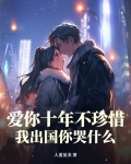 爱你十年从不悔小说全文免费阅读