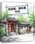 四合院我叫易中河小说