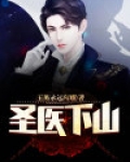 圣医下山小说