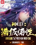 神印：满级悟性，成就全职业最强