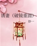 诱妻破镜重园