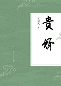 贵婿龙王殿免费观看完整版动漫