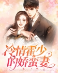 冷少爷霍以沫
