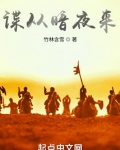 暗夜 谍战小说在线阅读