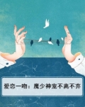 爱恋总裁