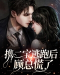 携宝出击总裁追爱小逃妻免费阅读