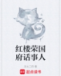 红楼荣国府话事人