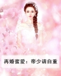 再婚蜜爱：帝少请自重