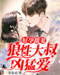 好孕甜妻：狼性大叔凶猛爱  