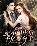 纪盛夏和纪夜凉的小说
