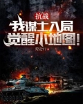 抗战:我谋士入局,觉醒小地图!