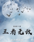 王者无敌电视剧全集