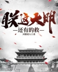朕这大明还有的救小说
