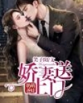 萌娃奶爸，娇妻送上门
