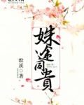 殊途同贵小说