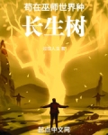 苟在巫师世界种长生树免费