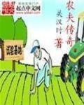 农夫传奇木瓜大师全文免费
