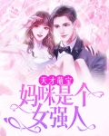 天才萌宝妈咪是个女强人免费阅读