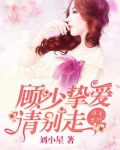 盛宠蜜婚，顾少挚爱请别走