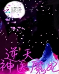 逆天神医魔妃全文免费阅读