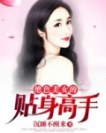 绝世美女的贴身保镖