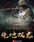 亮剑之绝地双龙下载