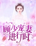 顾少宠妻如命