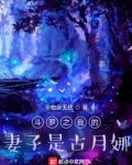 斗罗之我的老婆是唐月华