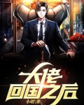 大佬回国之后