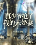 真少爷假少爷结婚了