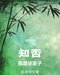 知否我是徐家子TXT下载