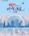 我们终会遇见小说免费阅读