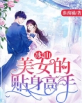 冰山美女的贴身高手