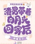 渣男带着白月光回家后,我重生了百度云
