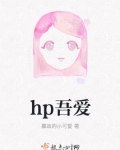 hp吾爱笔趣阁