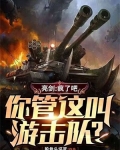 亮剑:疯了吧,你管这叫游击队?TxT