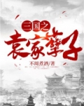三国之袁家孽子小说