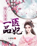邪王宠妻一品医妃