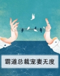 霸道总裁宠妻无度