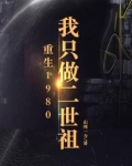 重生1980：我只做二世祖